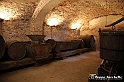 VBS_7439 - Inaugurazione Messer Tulipano 2022 Castello di Pralormo - XXII Edizione